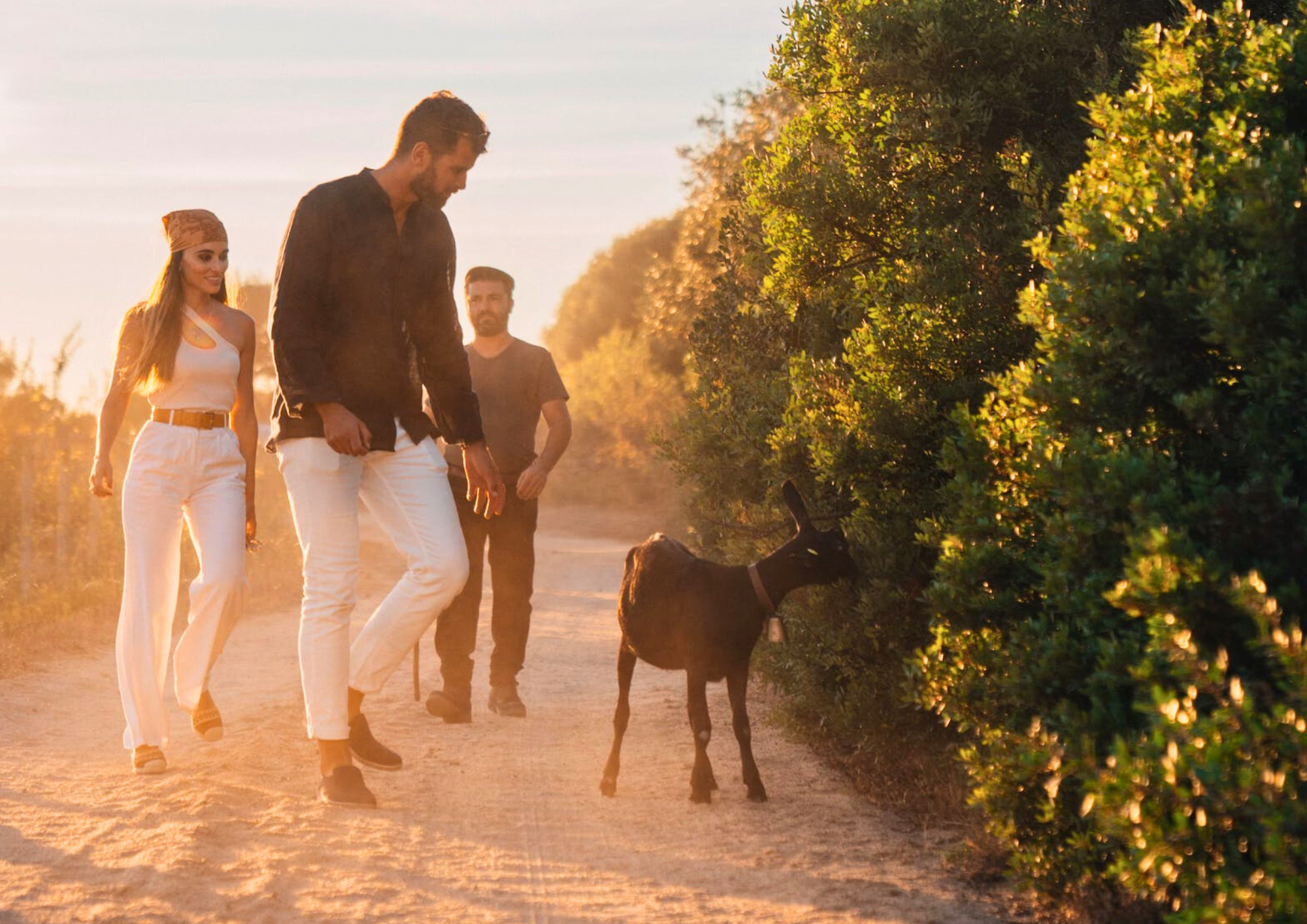 AUTHENTIC EXPERIENCES