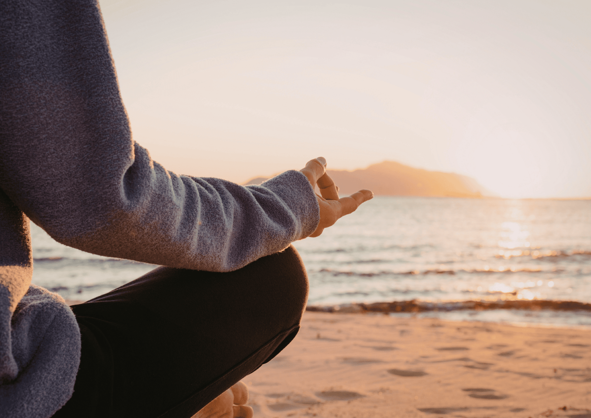 SOUND OF THE PINES (1)