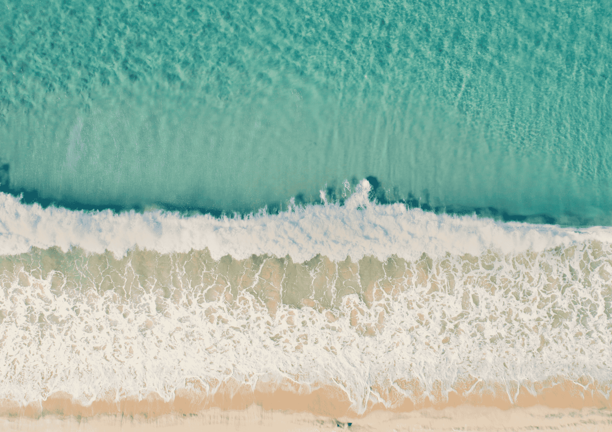 SOUND OF THE PINES (2)