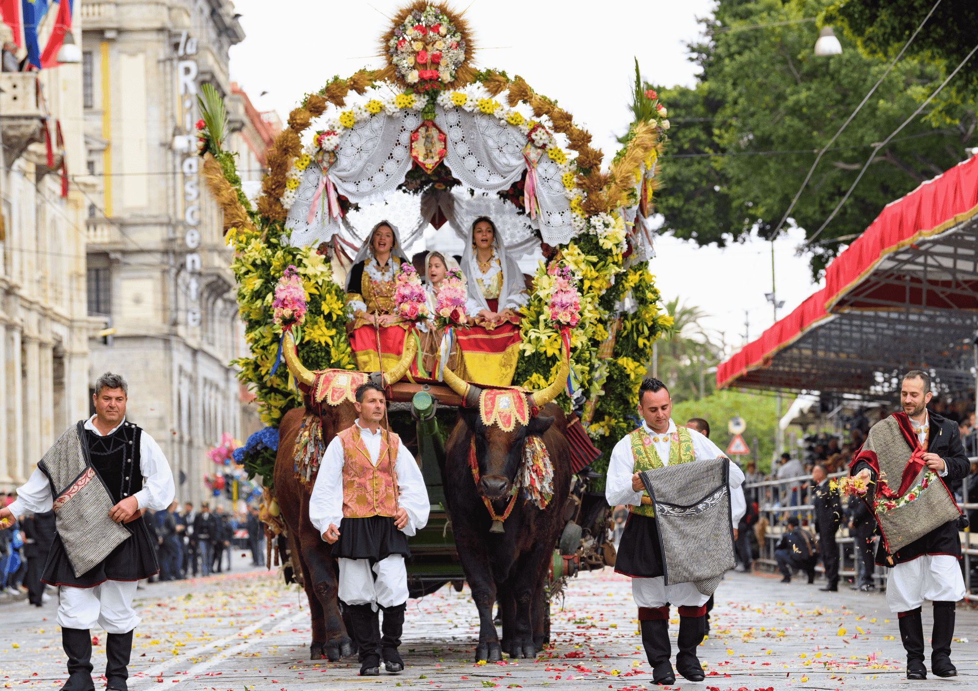 THE SAINT’S JOURNEY